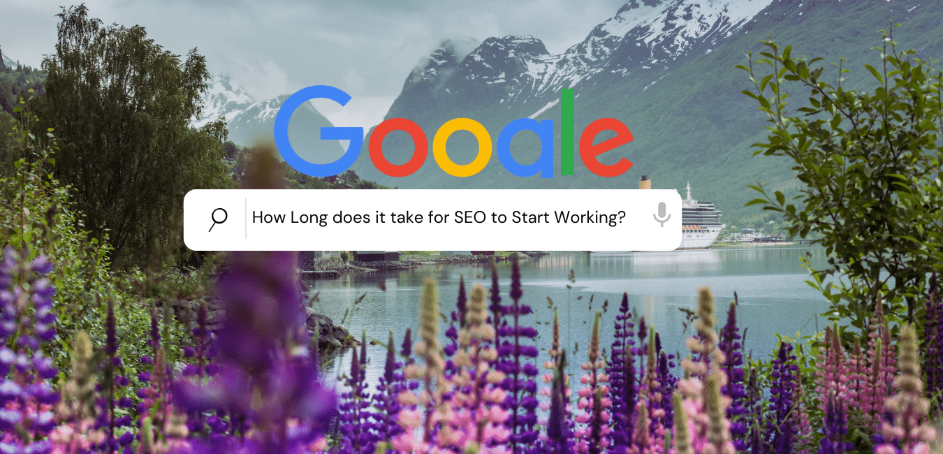 Google Search Box used as a featured image for realistic expectations of SEO.| Purely Write